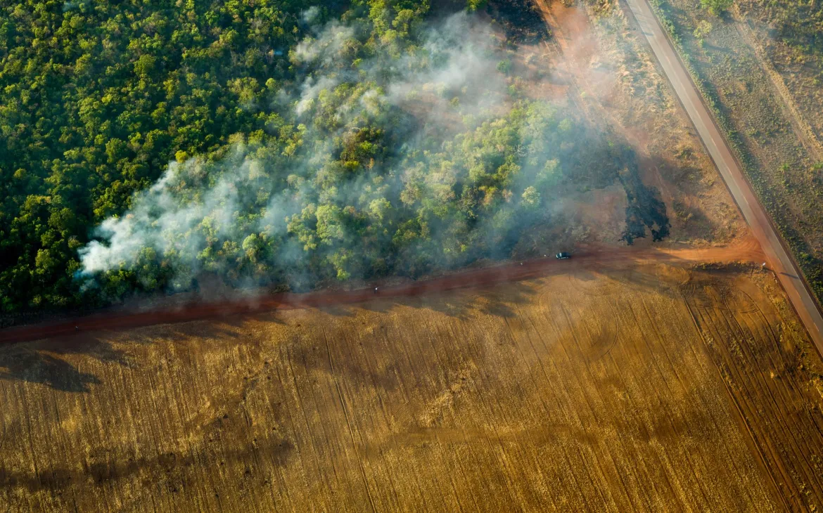 Unkontrollierter Waldbrand in Brasilien