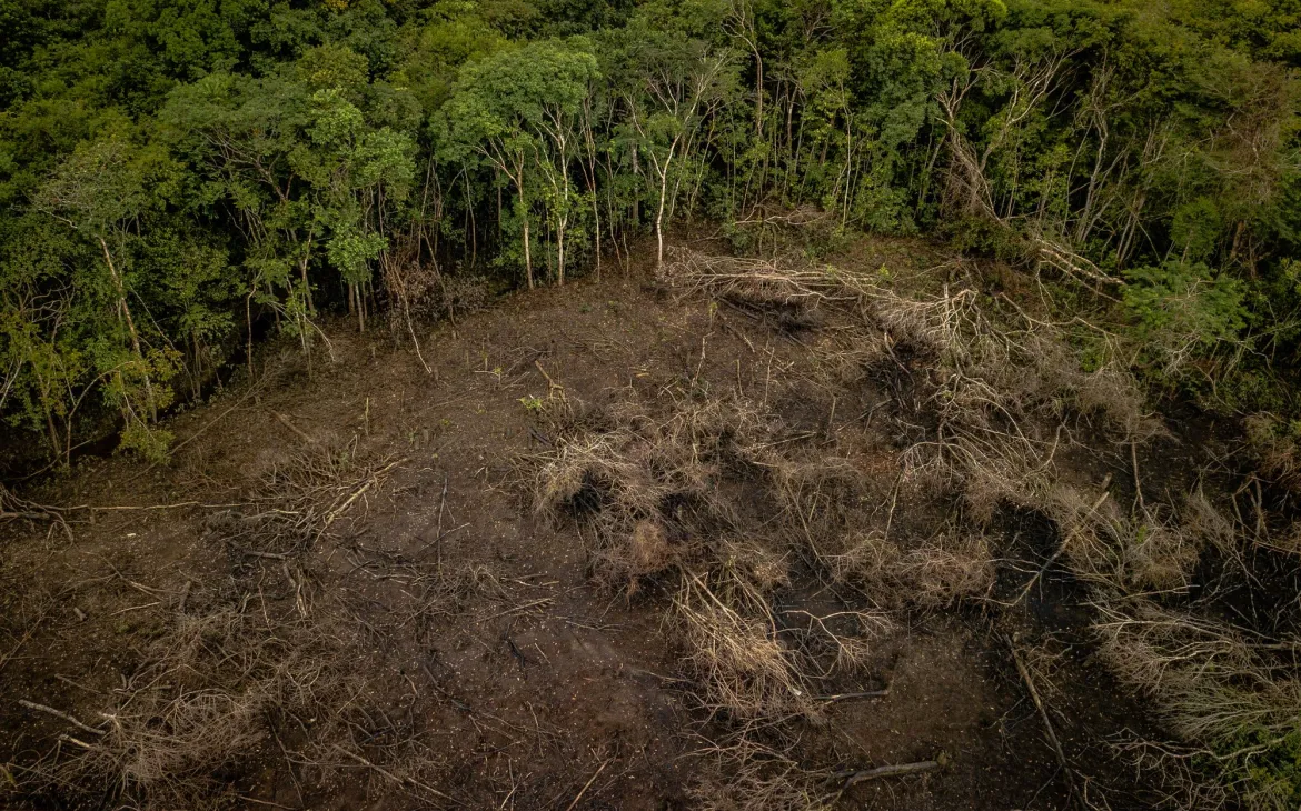 Luftaufnahme der Entwaldung des Amazonas