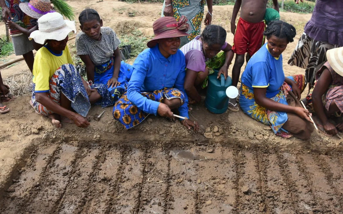 Frauen in Madagaskar bei der Wiederaufforstung 