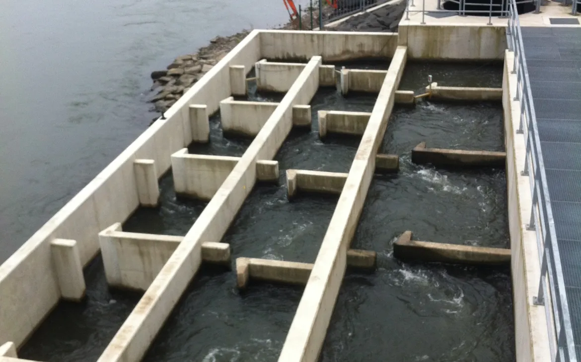 Vertical-Slot-Pass aus Koblenz an der Mosel