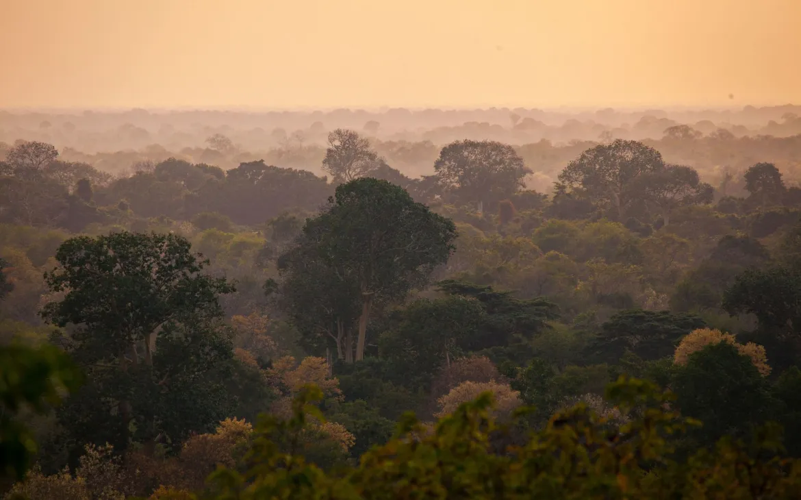 Selous Game Reserve Tansania
