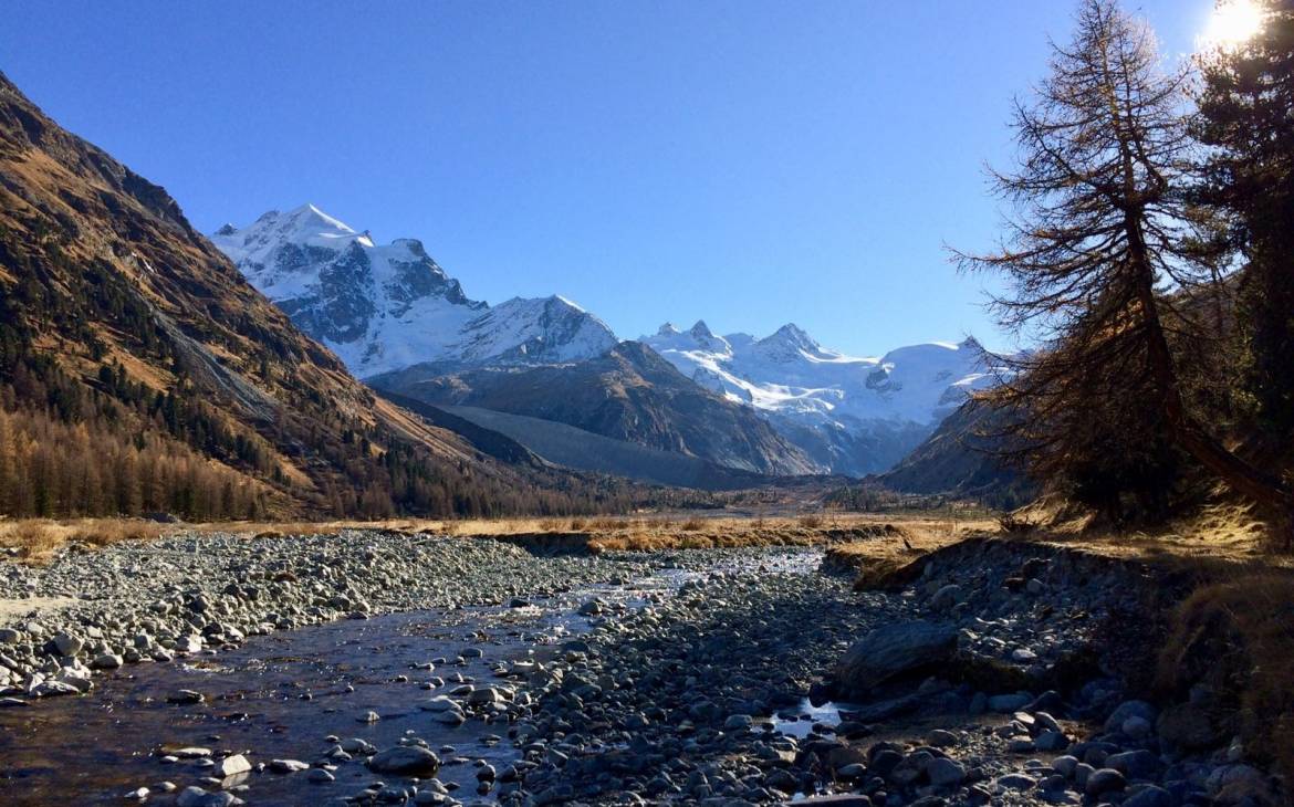 Aue im Val Roseg