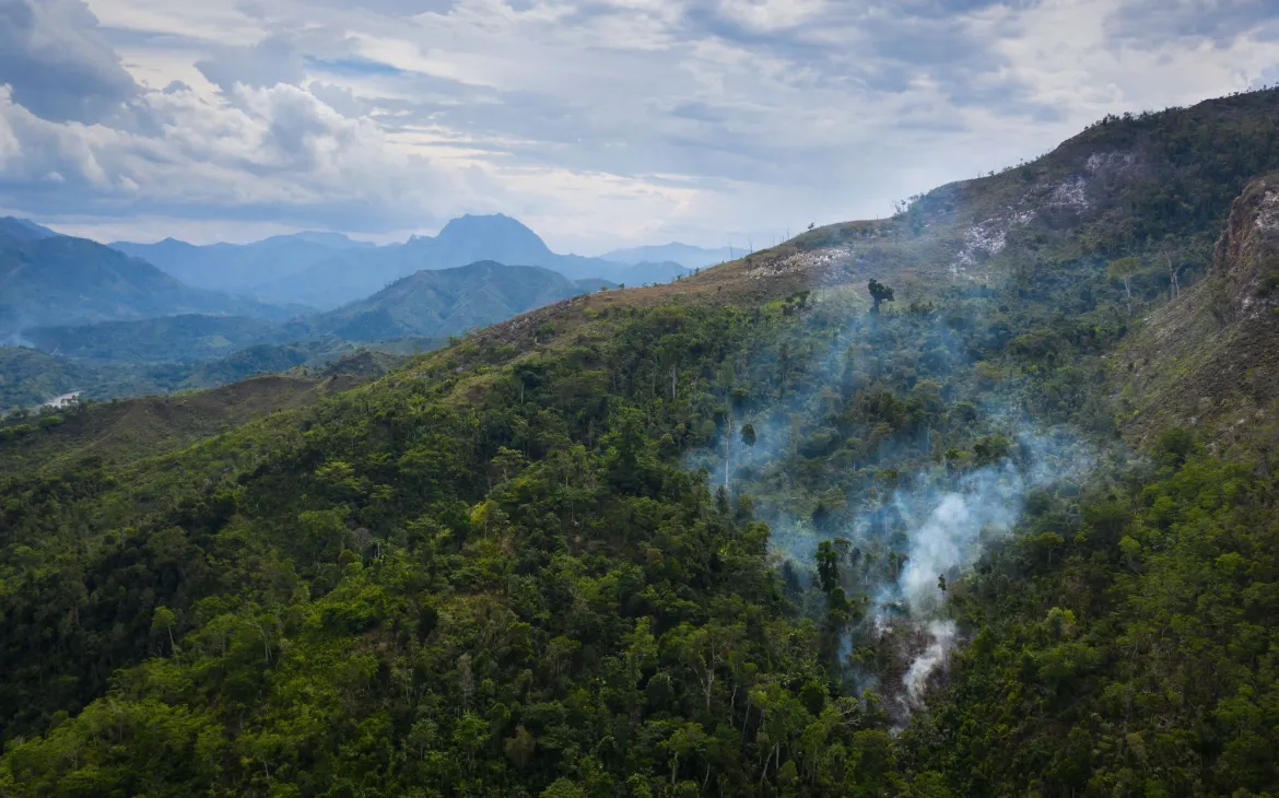 Brandrodung einer Waldfläche in Madagaskar