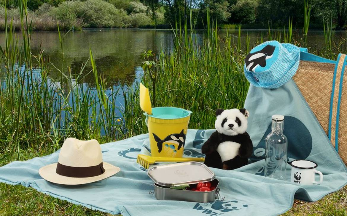 Ein Picknick am See