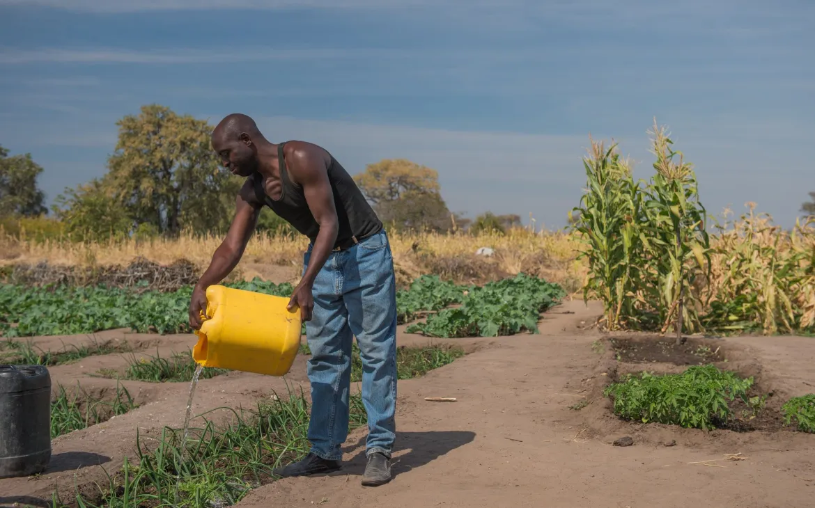 Farmer in Sambia, der sein Feld pflegt