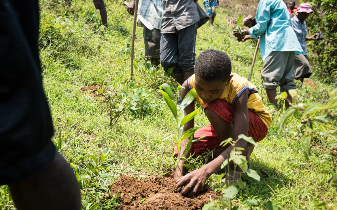 Ein Junge pflanzt einen Baumsetzling. Wiederaufforstung in Madagaskar