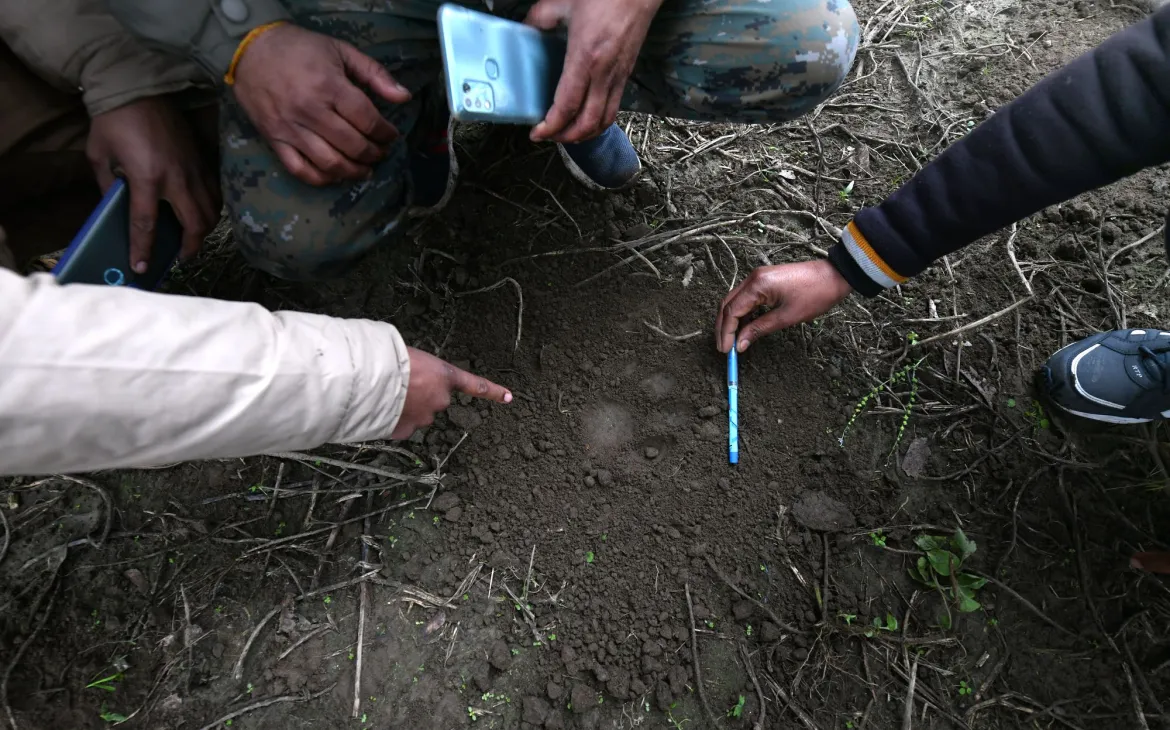 Mitglieder der Bagh Mitra beim Untersuchen eines Tiger Pfoten Abdrucks
