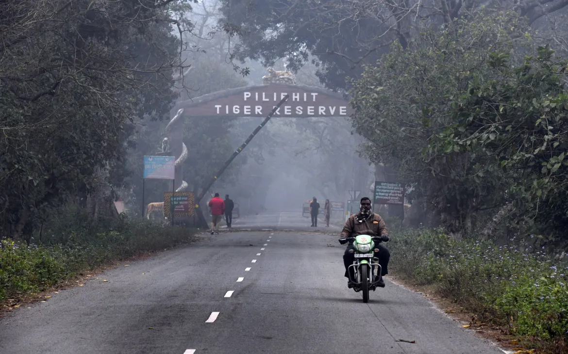 Die Hauptstrasse durch das Philibhit Tiger Reservoir