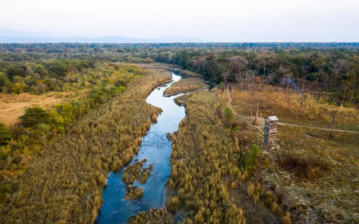Vogelperspektive auf Fluss mit Wildtier-Wachturm