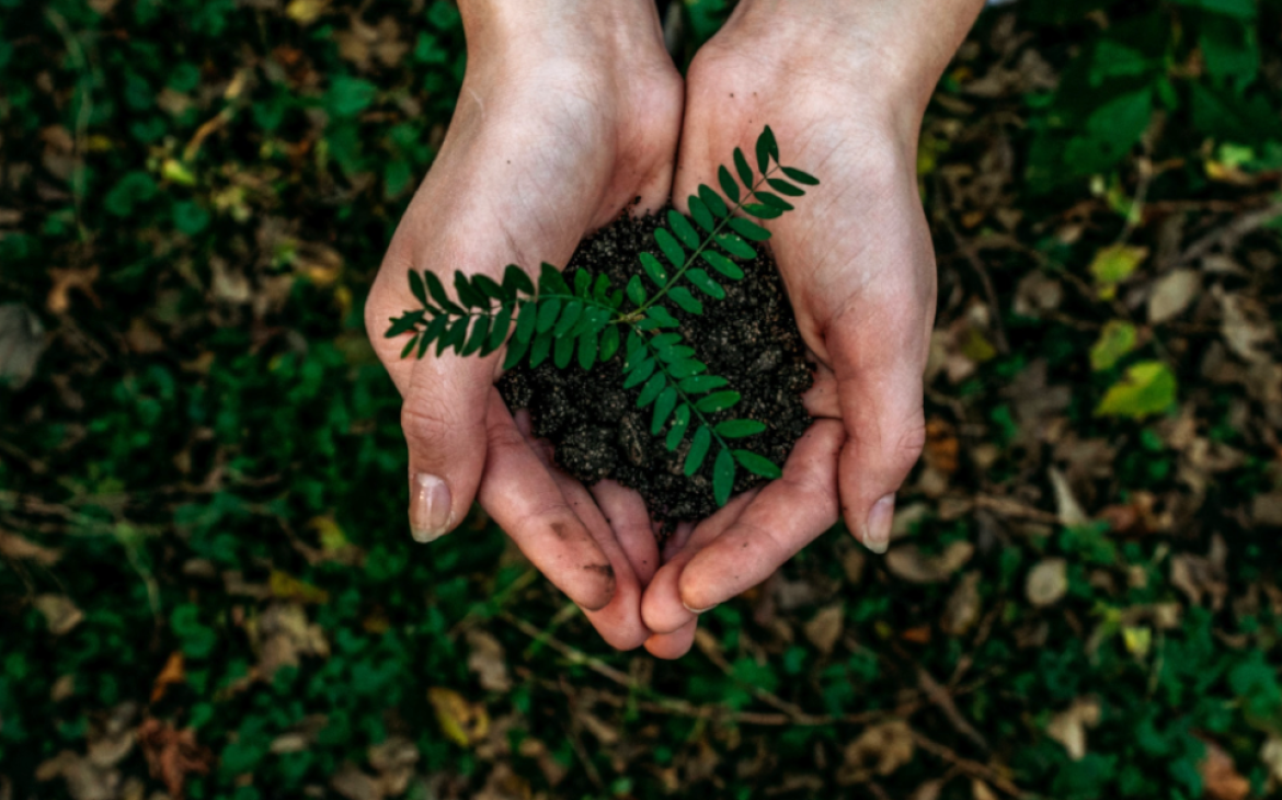 Geschenkideen Natur