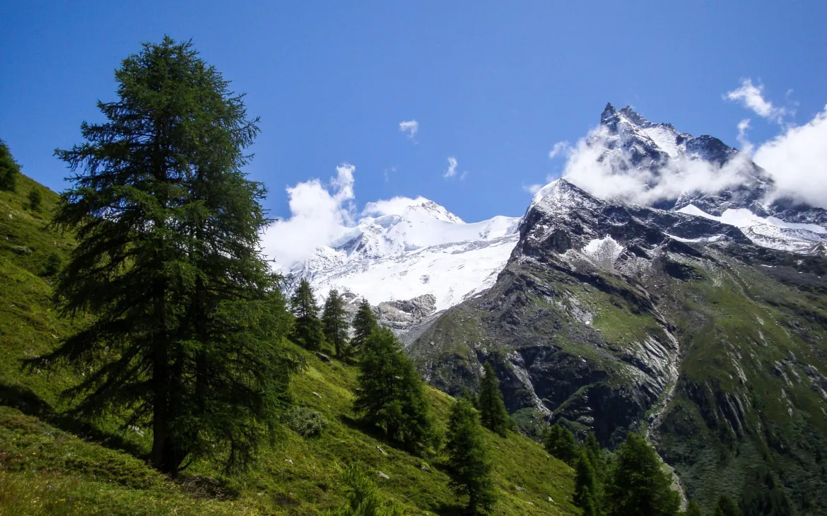 mountain landscape with high peaks and green grassy meadows and trees in the Zinal Valley of Switzerland