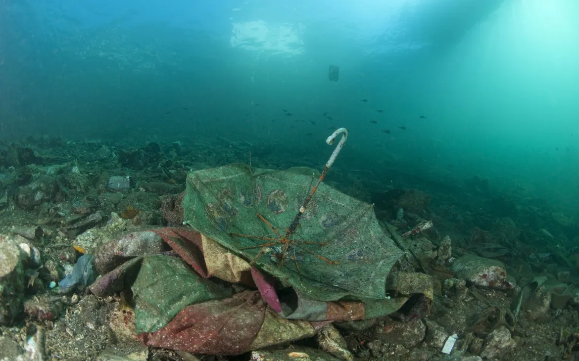 Regenschirm auf dem Meeresgrund