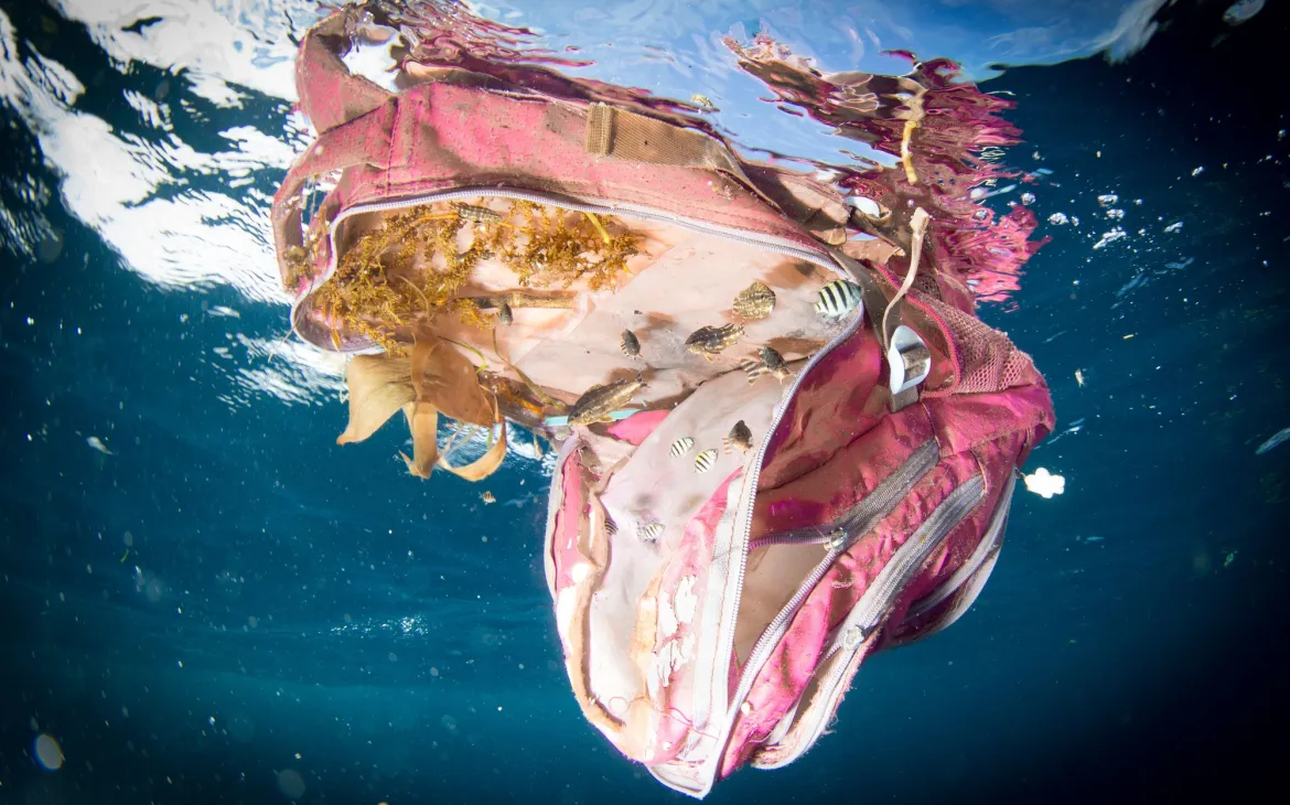 Pinker Rucksack treibt im Wasser