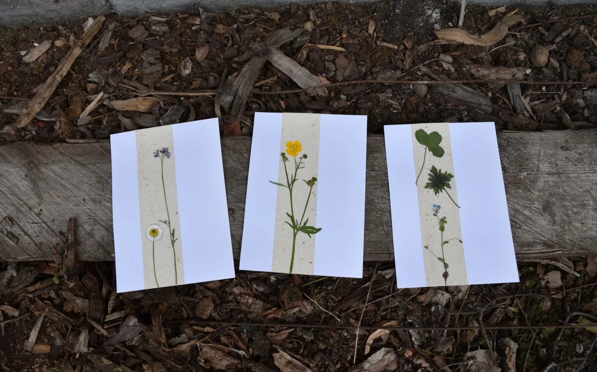 Blumige Grusskarten mit Sand