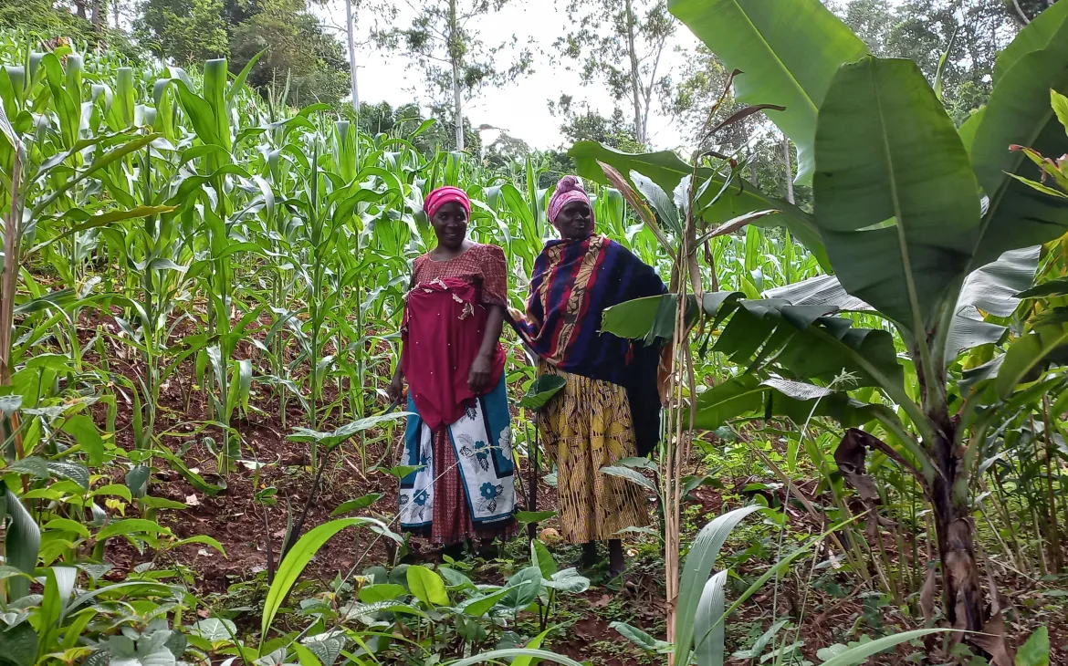 Zwei Frauen auf dem Feld in Ost-Usambara