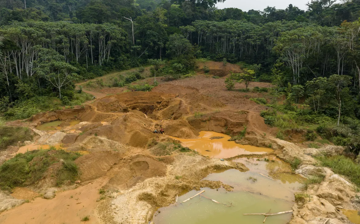 Illegale Goldminen im Regenwald