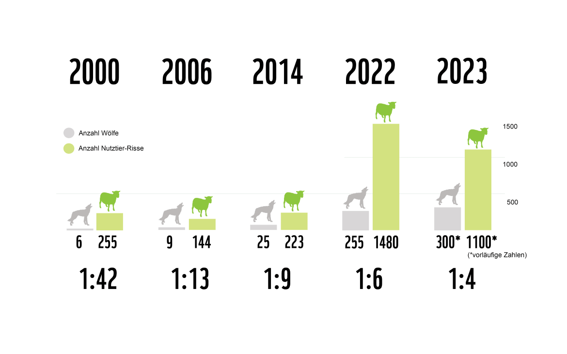 Graph of the ratio of the number of wolves to livestock kills