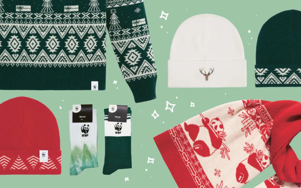 Header Fashion