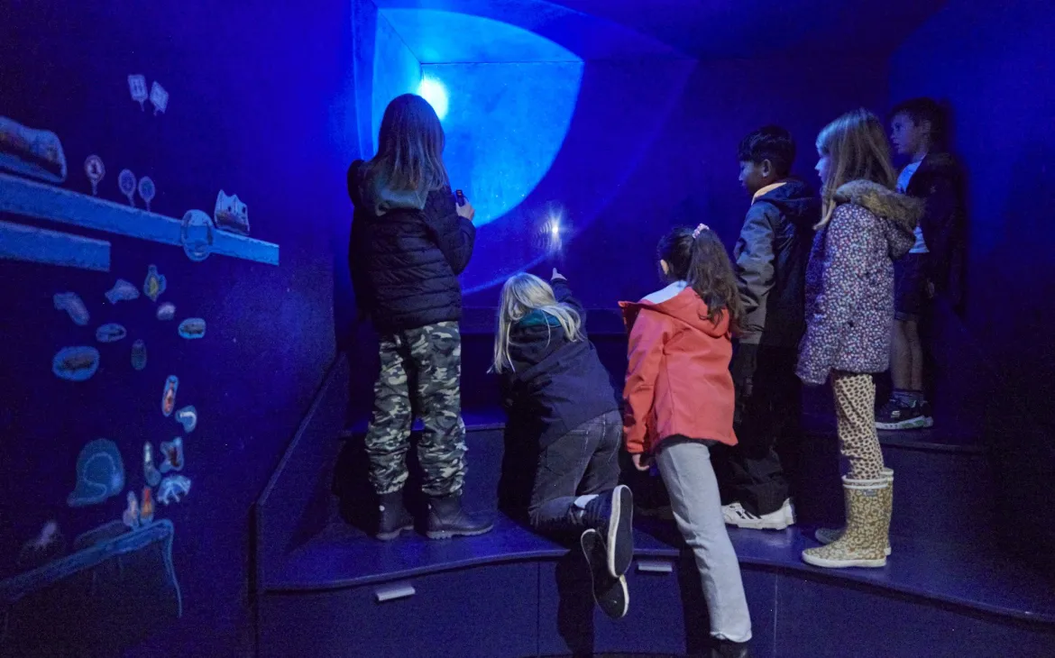 Kinder im Pandamobil