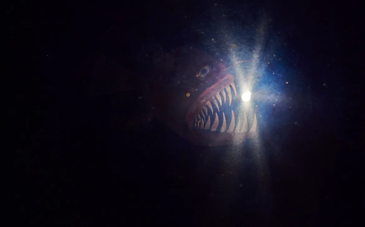 Anglerfisch im Pandamobil