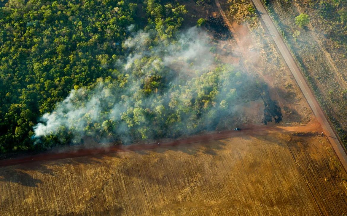 Luftaufnahme eines abgeernteten Maisfeldes und eines Waldes in Brasilien