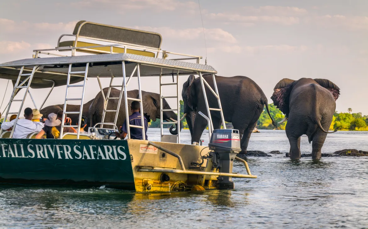 Safeguarding wildlife requires ethical, sustainable tourism: respect habitats, keep a safe distance, follow conservation guidelines, and preserve vital corridors for animal movement and ecological balance.