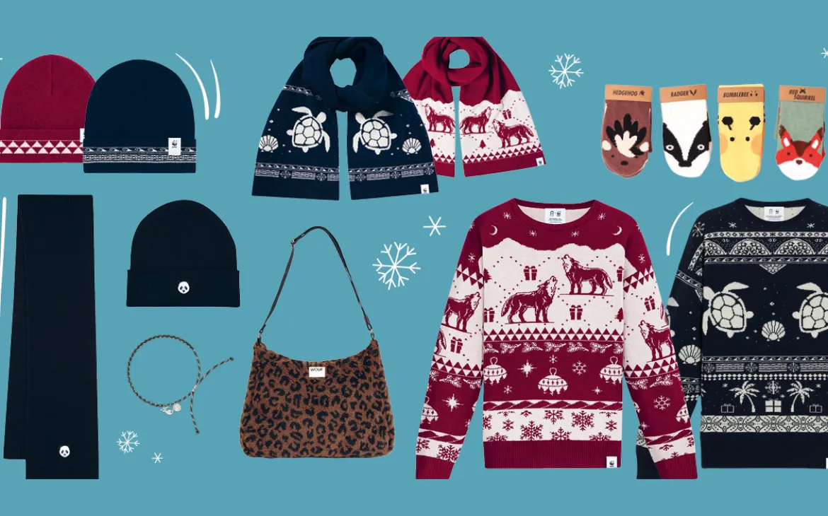 Header Shop Weihnachtskampagne