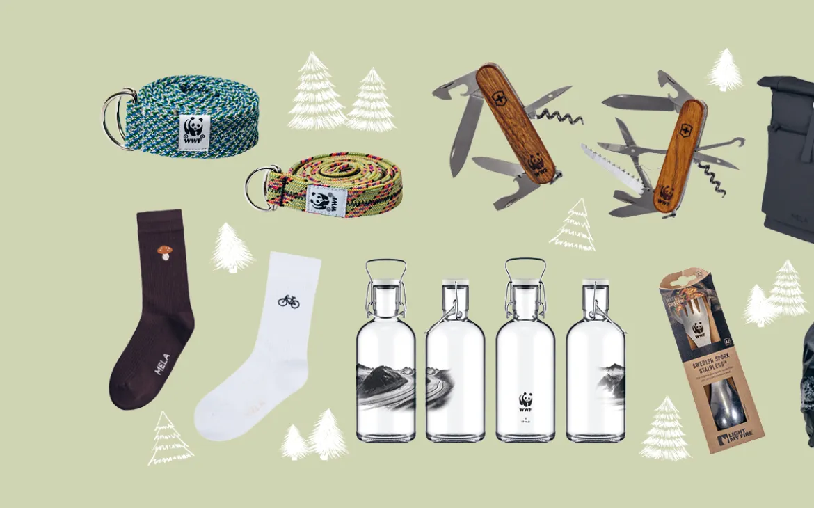 Header Shop Weihnachtskampagne