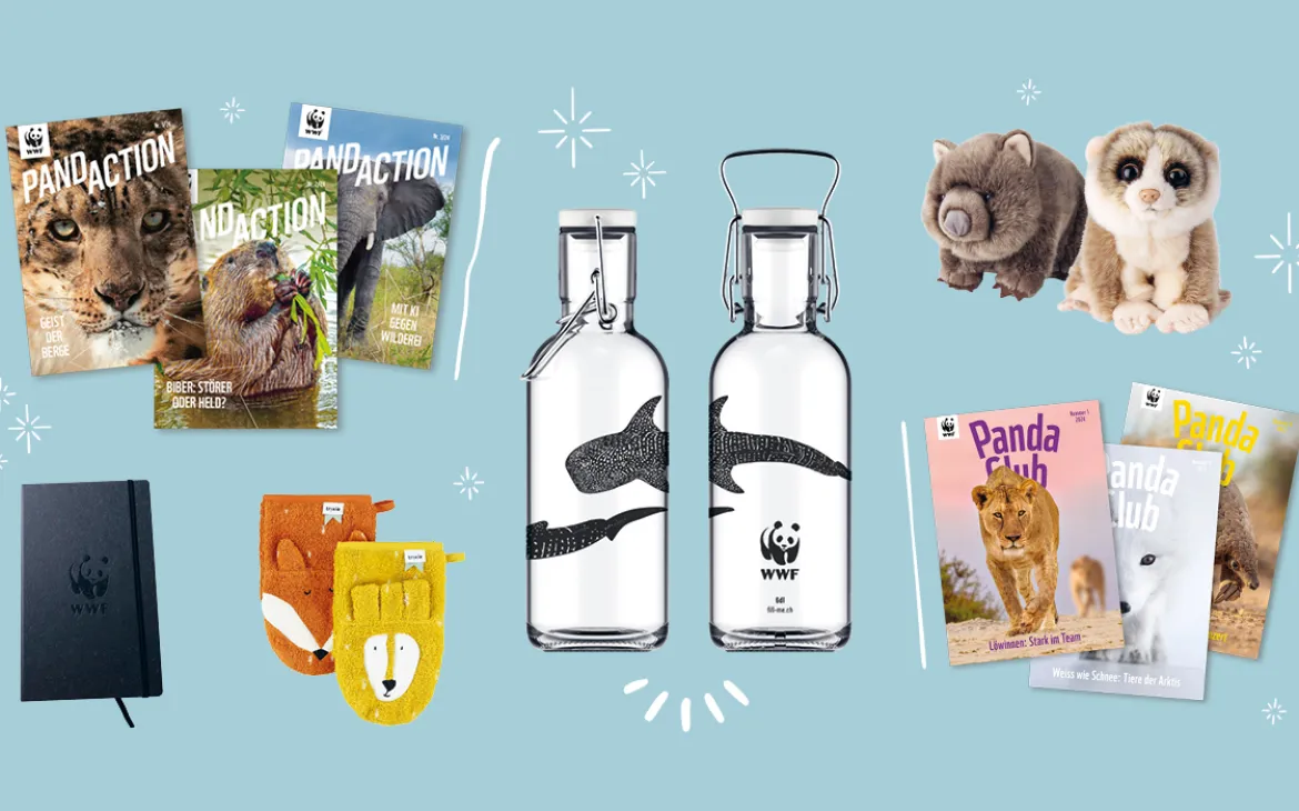 Header Shop Weihnachtskampagne