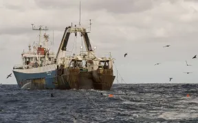 nave da pesca d'altura