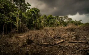 Seitenansicht von der Entwaldung des Amazonas