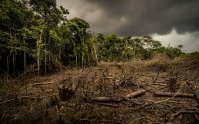 Seitenansicht von der Entwaldung des Amazonas