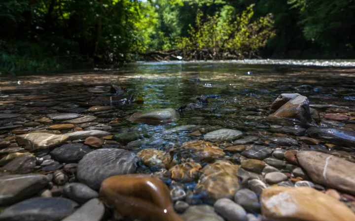 Kiss im Fluss Töss, Schweiz 