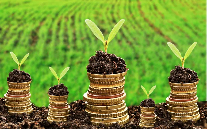 Financement durable de l'économie