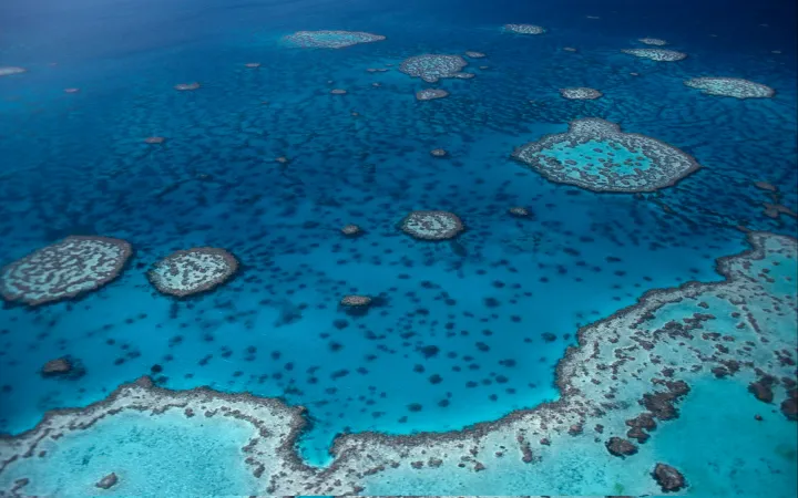 Aérienne Hardy Reef. Une partie de la Grande Barrière de Corail en Australie.
