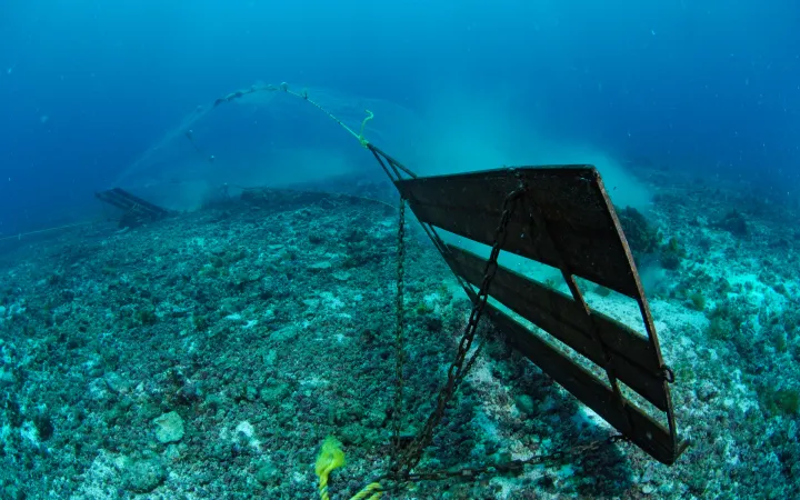 chalut de fond avec une plaque d'acier détruit le corail, le Mexique.