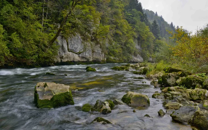 Rivière à Le Champois dans le Jura