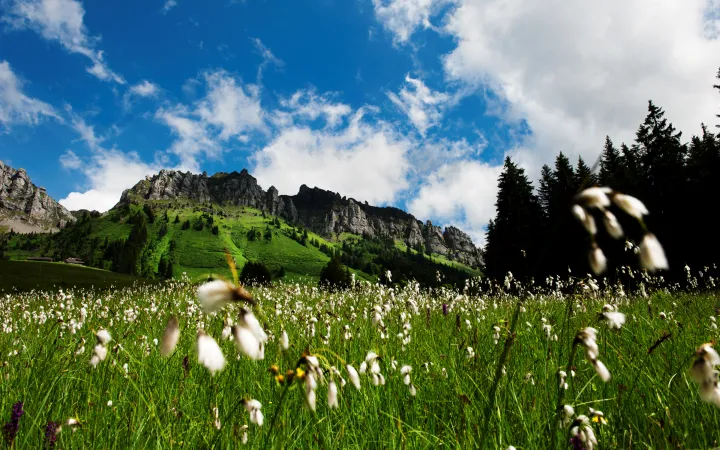 Moorland, Eriz, Berne, Suisse