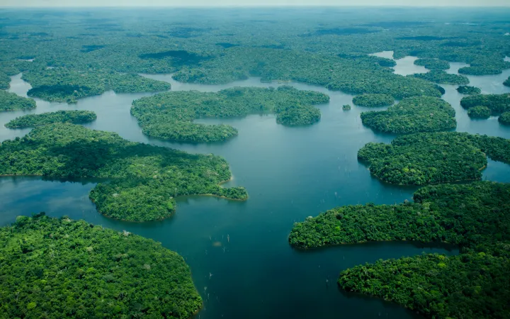 Veduta aerea del Rio delle Amazzoni