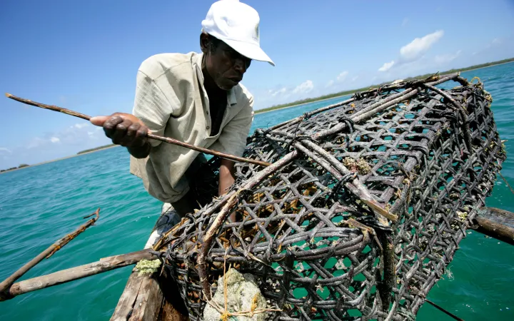 Un pêcheur a placé un piège à poissons en réserve marine Mafia Islande en Tanzanie