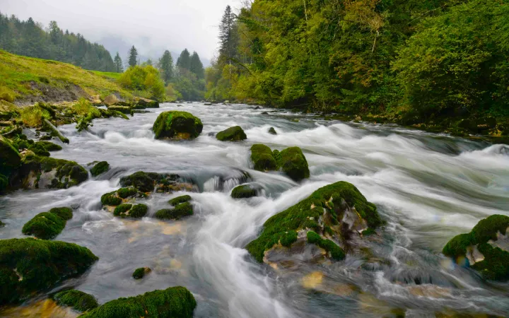 Ruisseau de montagne dans le canton du Jura