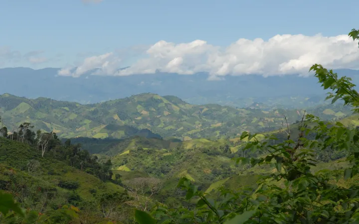 Vue sur les collines avec la forêt tropicale dans les régions montagneuses du nord de Madagascar