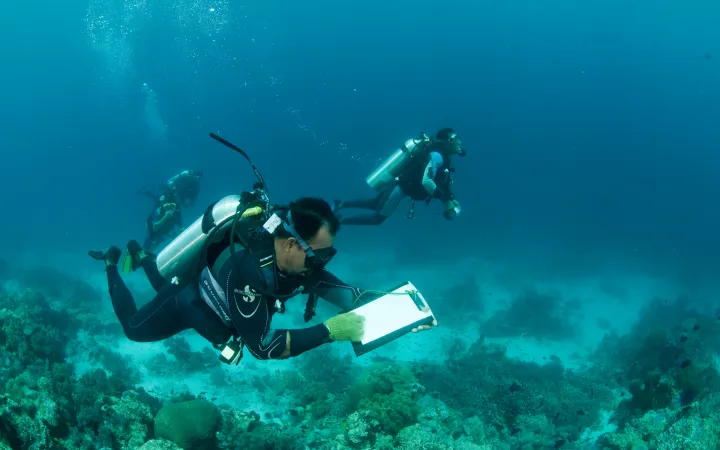 Wildhüter überwachen Fischpopulationen in Indonesien
