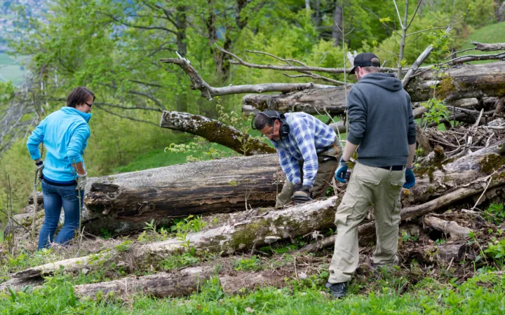 Freiwillige bei einem NaturAktiv-Firmen-Umwelteinsatz in Weesen