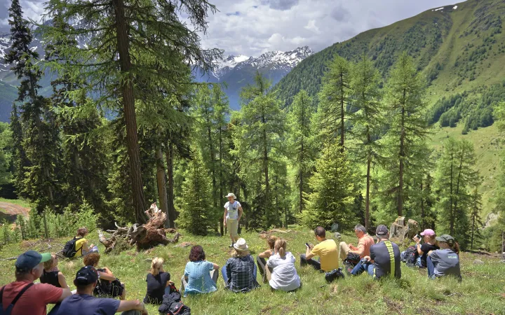 Freiwillige bei einem NaturAktiv-Firmen-Umwelteinsatz