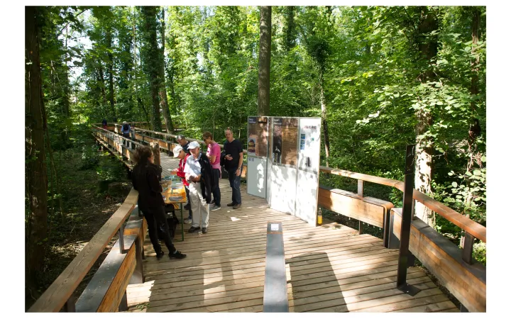 Apertura Limmatauen Werdhölzli, Zurigo