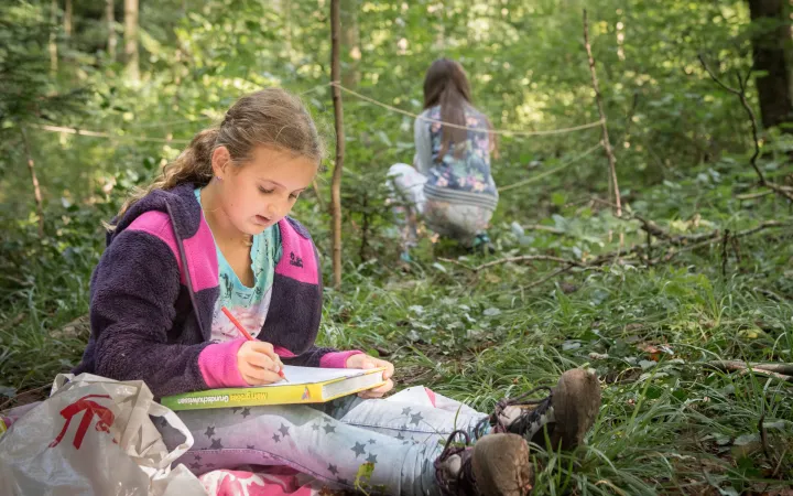 Un enfant apprend dans la nature