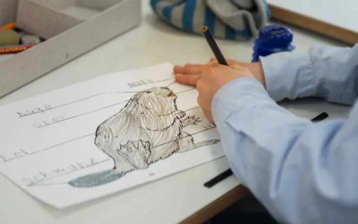 Matériel éducatif pour les castors