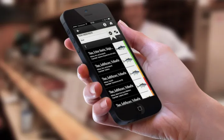 Mobile application guides