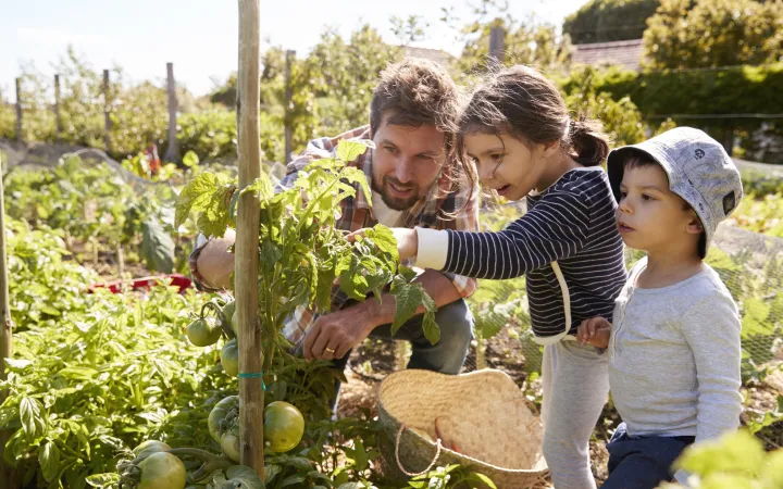 vita sostenibile famiglia giardino